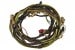 Taillight Wiring Harness - Standard - Grade A - Used ~ 1969 Mercury Cougar 69tailwires,165,Tail Light 1969,1969 cougar,c9w,cougar,grade,harness,mercury,mercury cougar,standard,taillight,used,wiring,19484