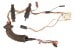 Door Wiring Harness - Power Window - Passenger Side - Used ~ 1973 Mercury Cougar D3WY-14630-A D3WY-14630-A,1973,1973 cougar,D3W,cougar,door harness,harness,mercury,mercury cougar,mustang,power,window,harness,pw,used,passenger,passenger,passengers,passenger