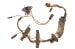 Door Wiring Harness - Power Window - Passenger Side - Used ~ 1971 - 1972 Mercury Cougar  D1WY-14630-A,1971,1971 cougar,1971 mustang,1972,1972 cougar,D1W,D2W,cougar,door harness,harness,main,main harness,mercury,mercury cougar,power window harness,pw,passenger,passengers,passenger