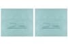 Map Pocket - Vinyl Repair Kit/Pair - XR7 - AQUA - Repro ~ 1967 Mercury Cougar